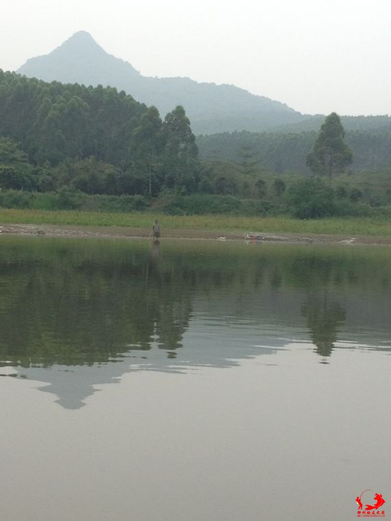 柳州钓鱼佬直接下水