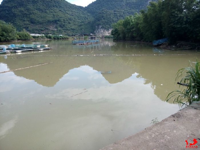 水位回涨淹没旺口