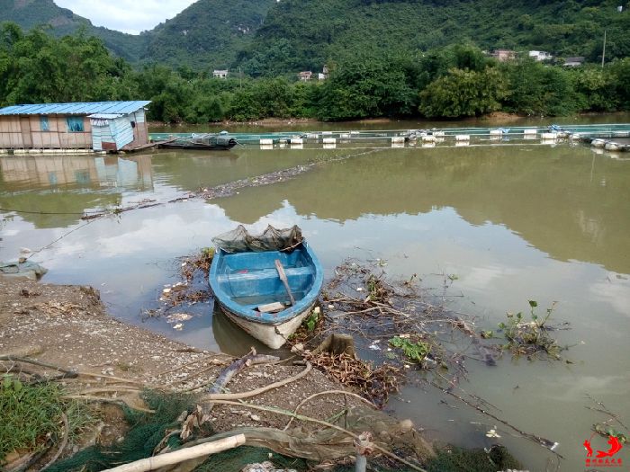 水位回涨淹没旺口