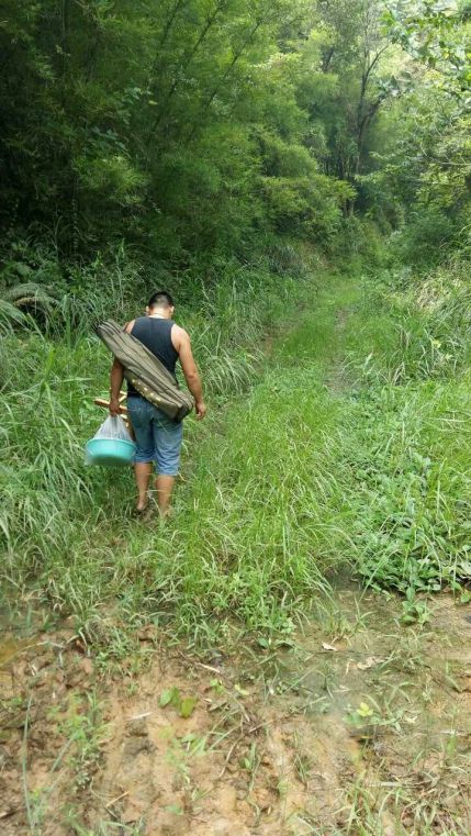 水泥路