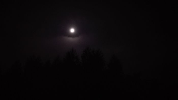 IMG_20150731_014342.jpg