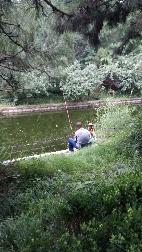 20150730_092010.jpg