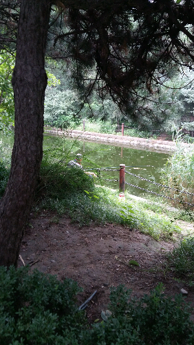 20150730_092020.jpg