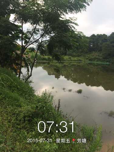 image.jpg