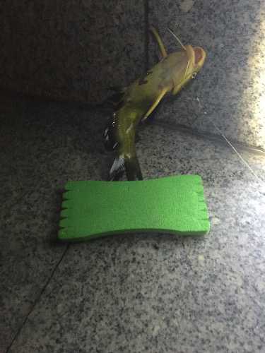 image.jpg