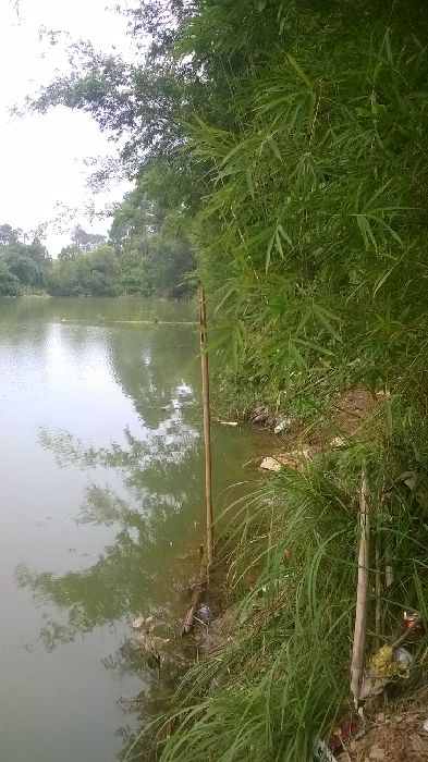 WP_20150901_014.jpg