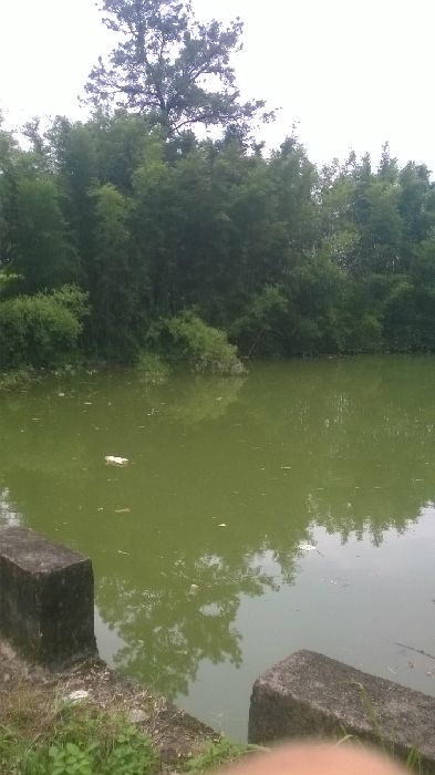 WP_20150901_018.jpg