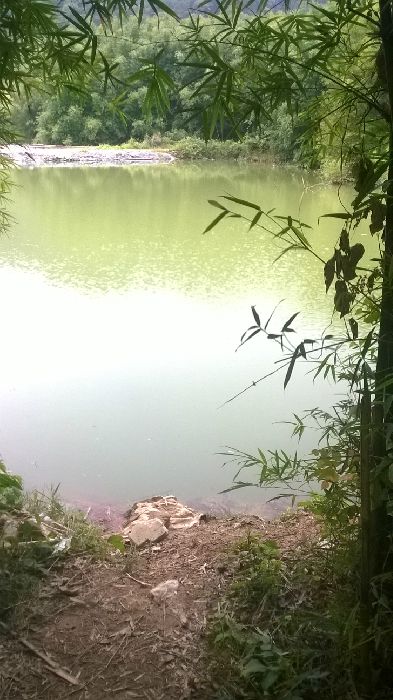 WP_20150901_012.jpg
