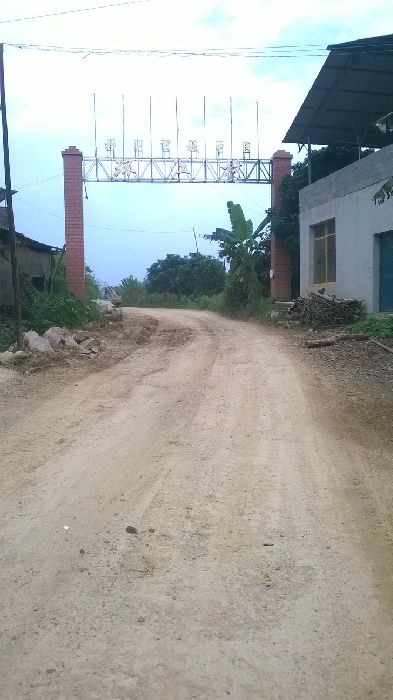 WP_20150901_008.jpg