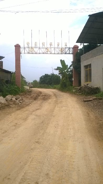 WP_20150901_009.jpg