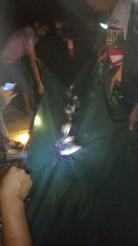 IMG20150917221315.jpg