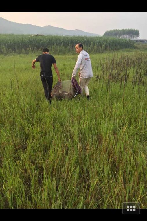 QQ图片20150919171450.jpg