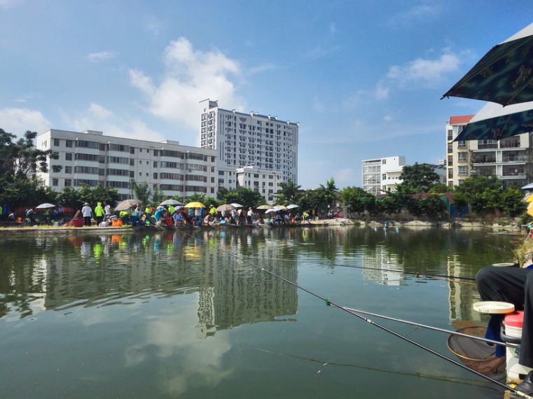 打了两场综合钓浮.jpg