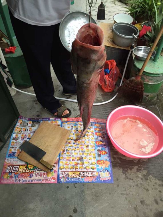 QQ图片20150925180931.jpg