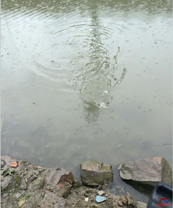 QQ截图20160417235112.png.jpg