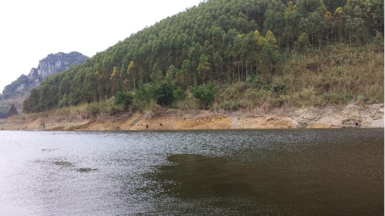 根林水黑麻麻