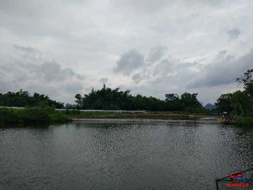 IMG_20160703_151118.jpg