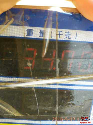 mmexport1463461364164.jpg