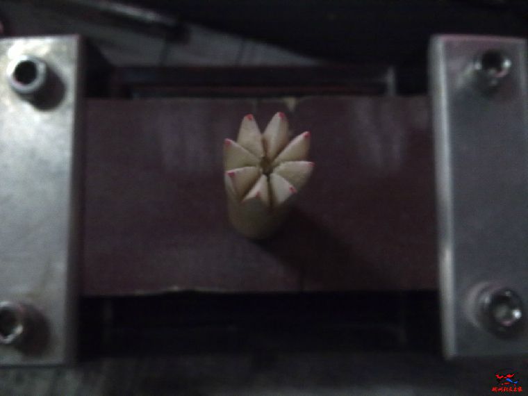 201604205216.jpg