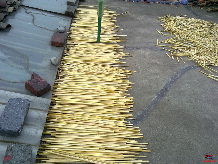 201604035164.jpg