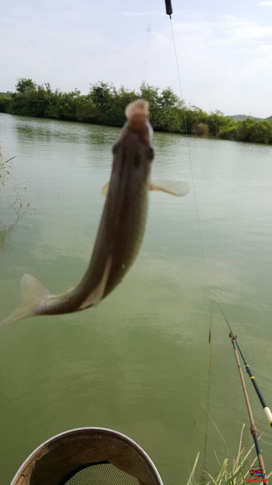 20160811_161239.jpg