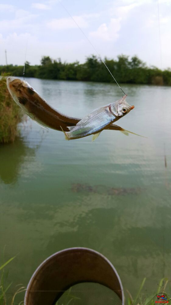 20160811_155449.jpg