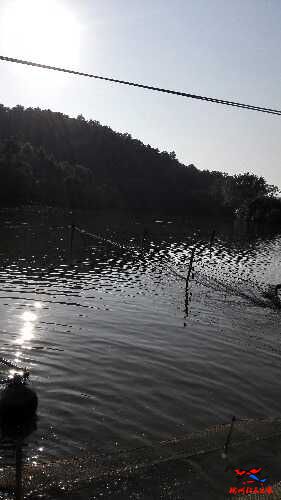 IMG_20160902_172744.jpg