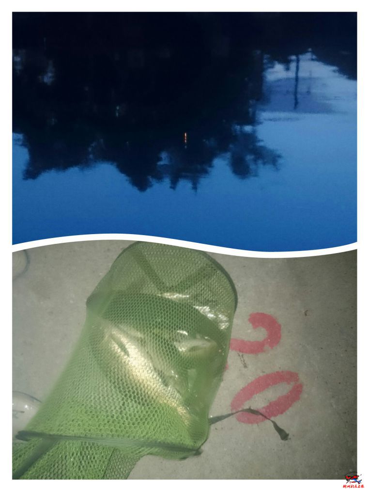 collage-1469115275593.jpg
