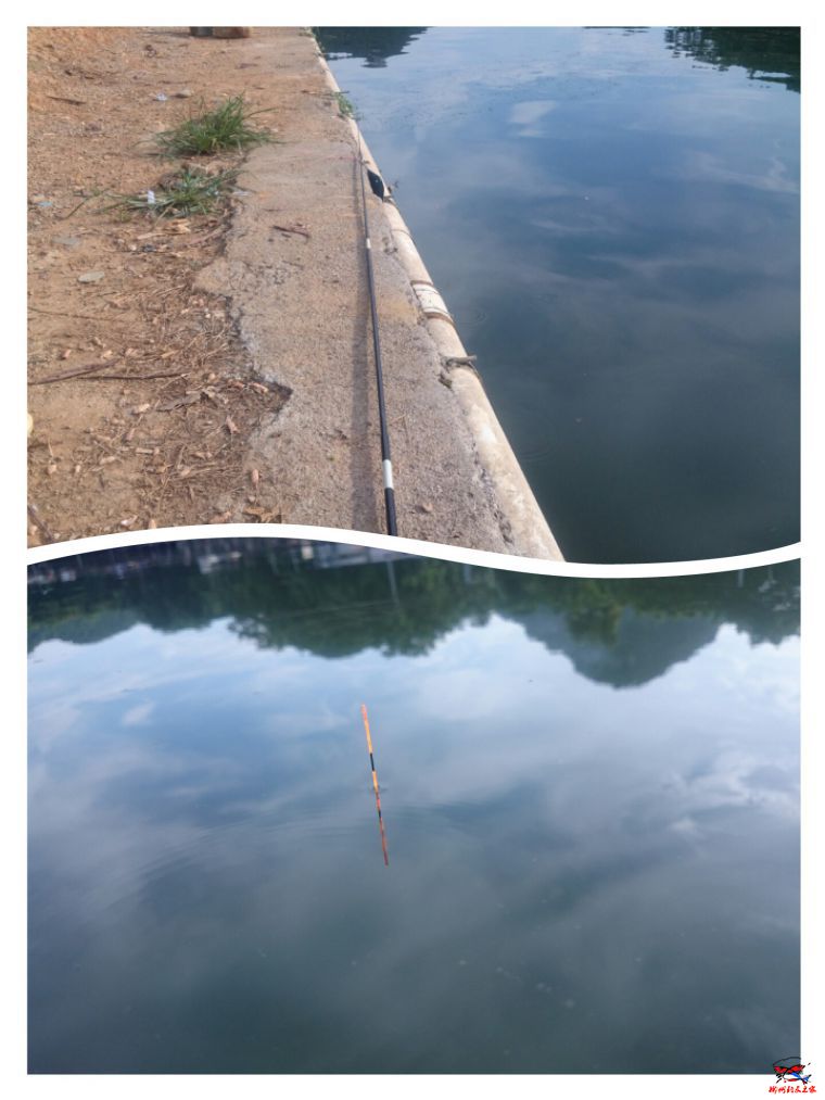 collage-1469115103528.jpg