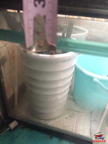 image.jpeg