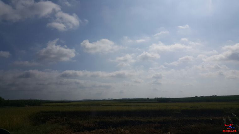 20160723_085631.jpg
