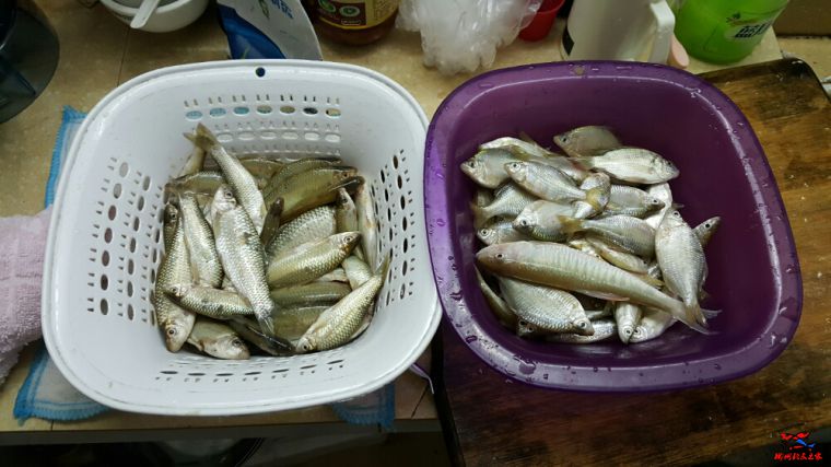20160724_211131.jpg