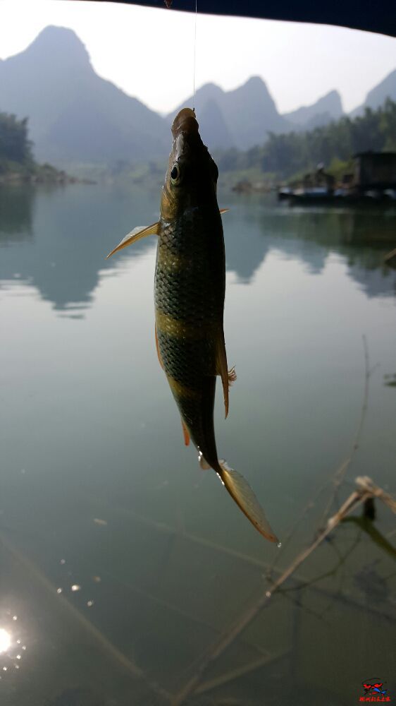 20160922_095231.jpg