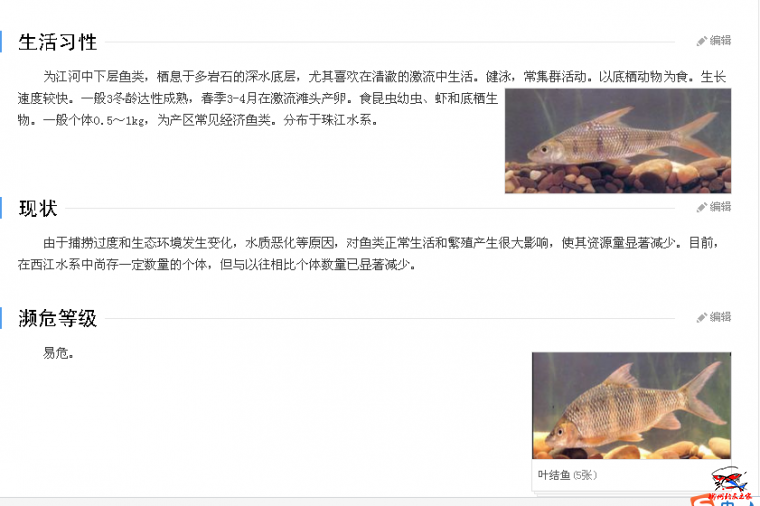 二.png