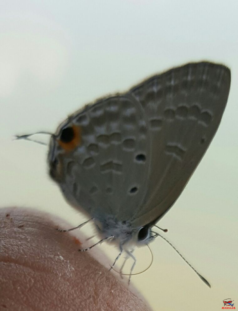 20160927_205957.jpg