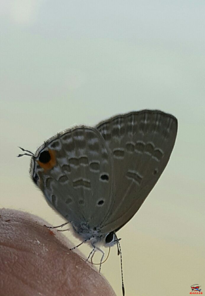 20160927_205925.jpg