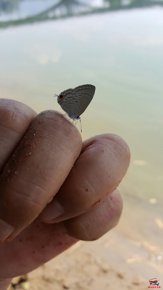 20160927_112027.jpg