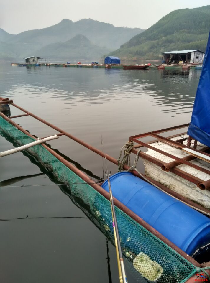 水库风景