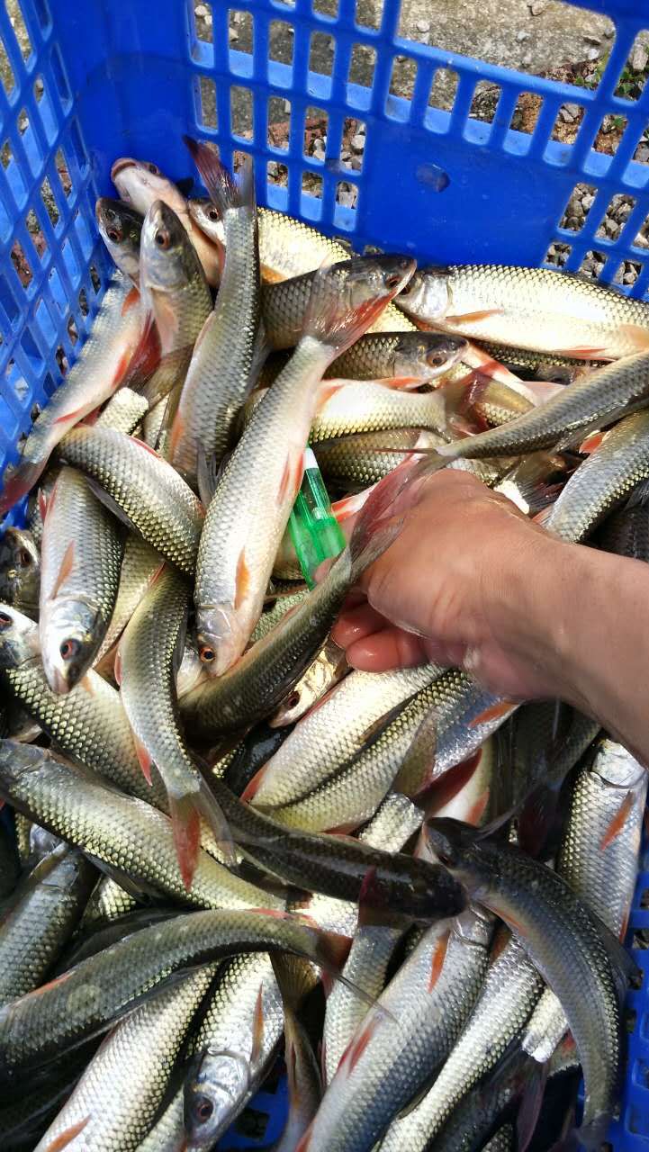 微信图片_20170502214043.jpg
