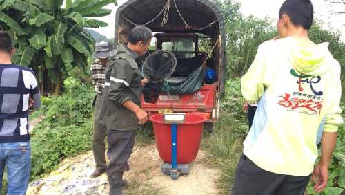 7B2EEA30-7E62-4F03-BFE6-9C9F2120502B-3838-000007222A389EAA_tmp.jpg