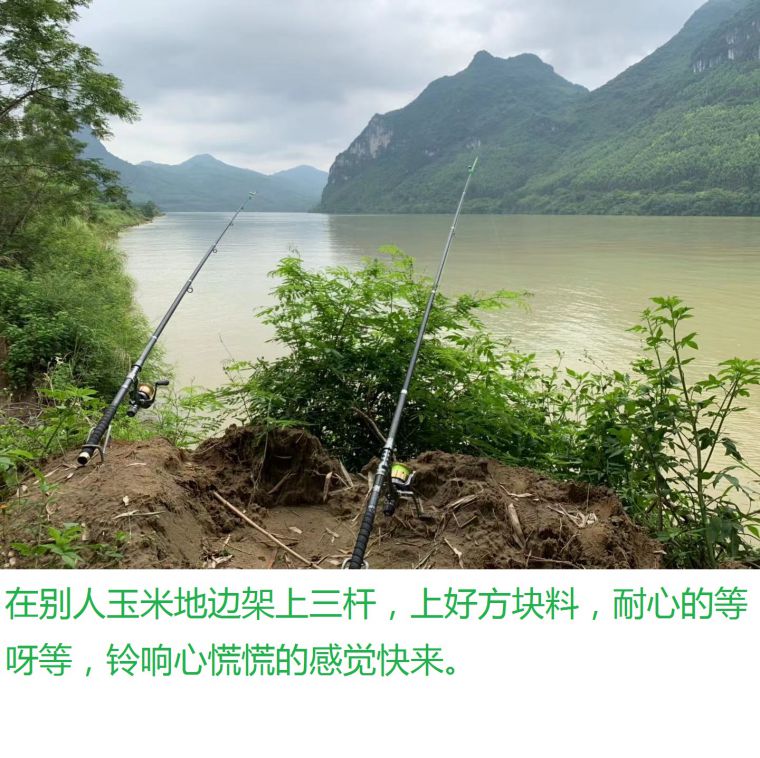 微信图片_20190721171044.jpg