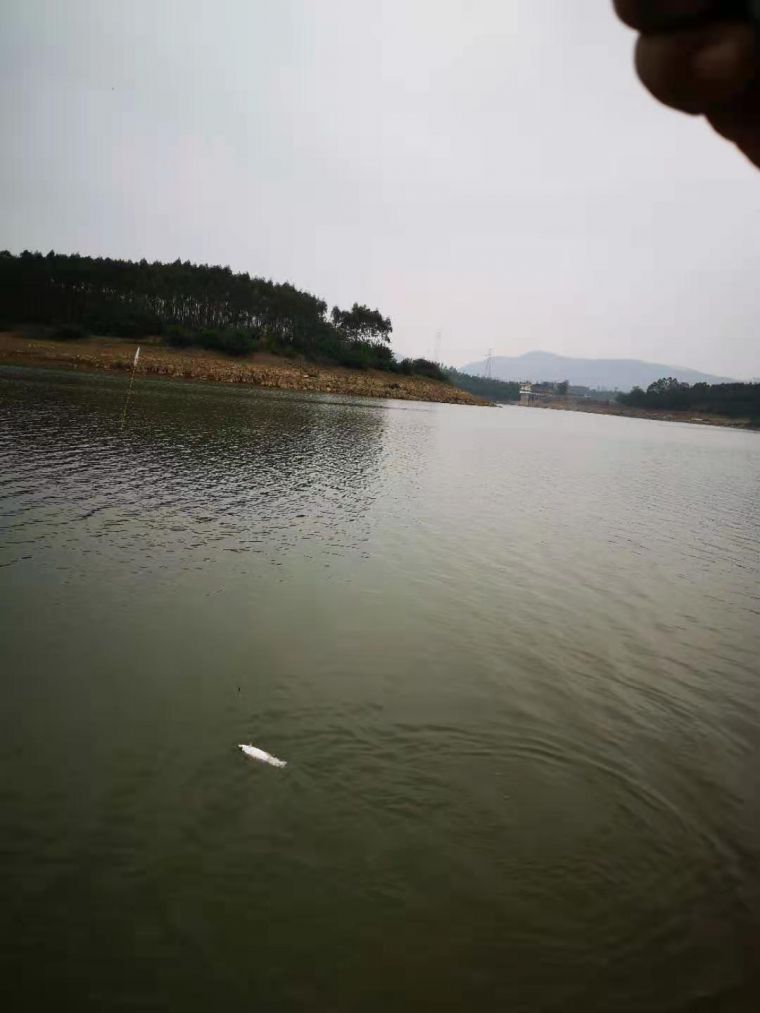 微信图片_20210402233636.jpg