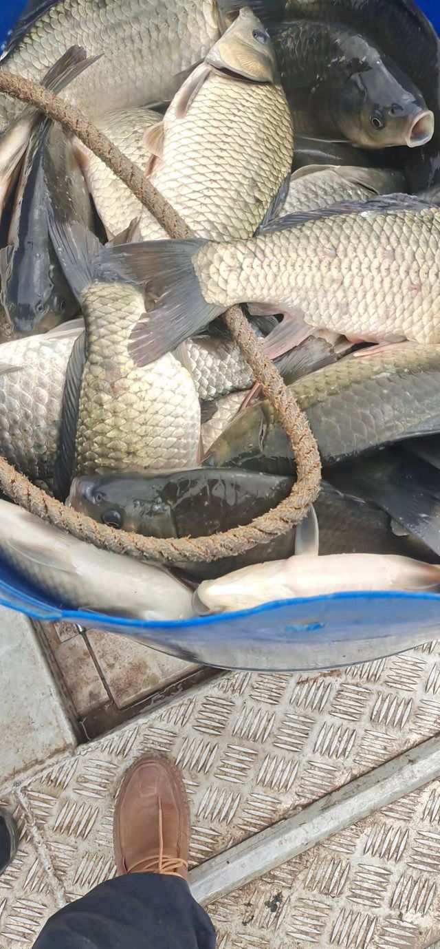 微信图片_202203041643383.jpg