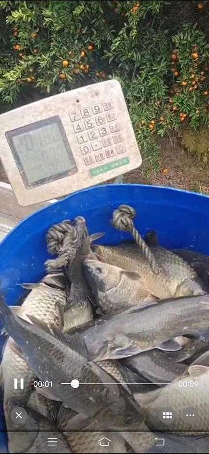 微信图片_202203041643385.jpg