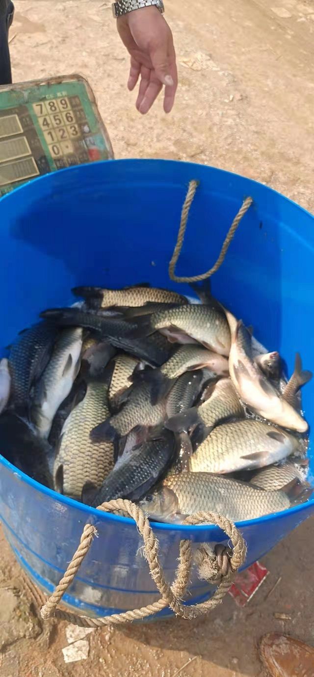 微信图片_202203181757414.jpg