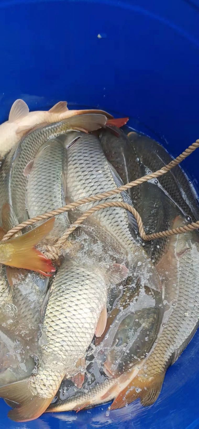 微信图片_20220419200158.jpg