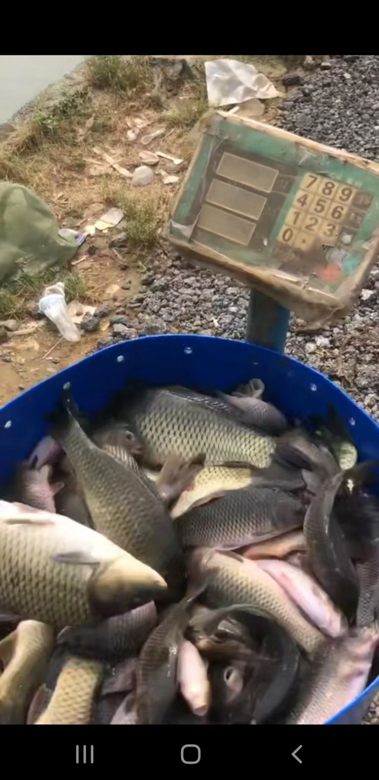 微信图片_202204291730531.jpg