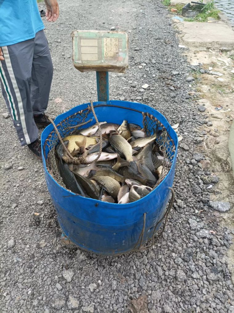微信图片_202205201554448.jpg
