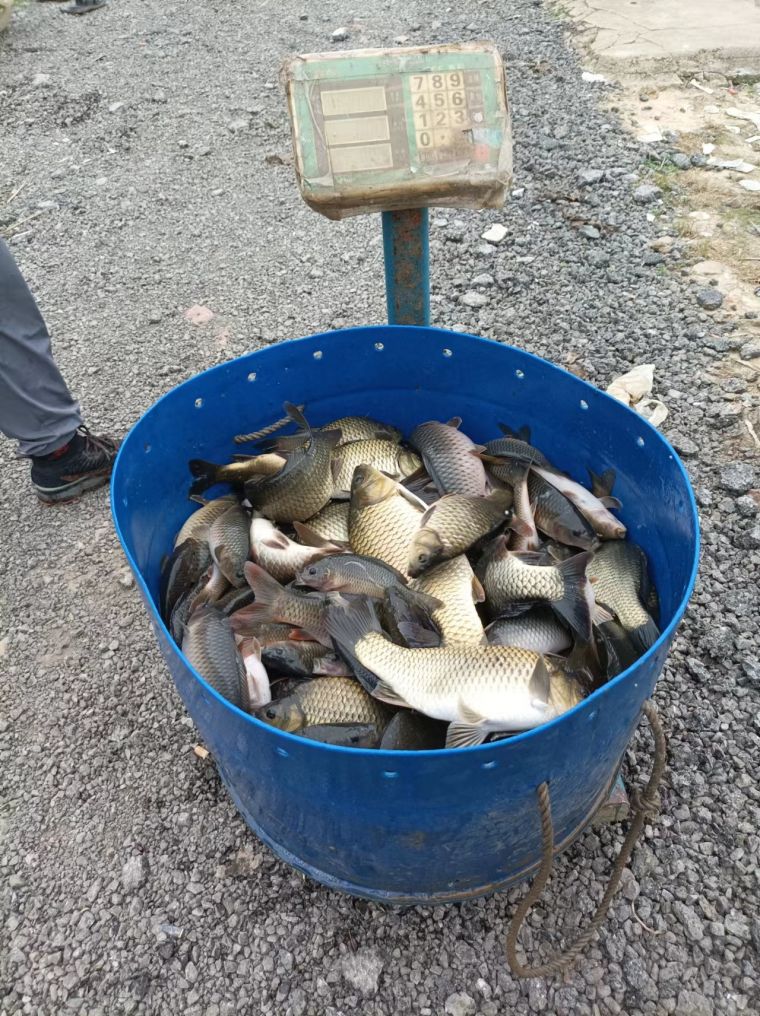 微信图片_2022052015544411.jpg