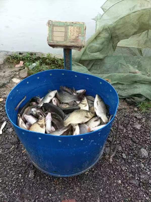 微信图片_202206101640031.jpg